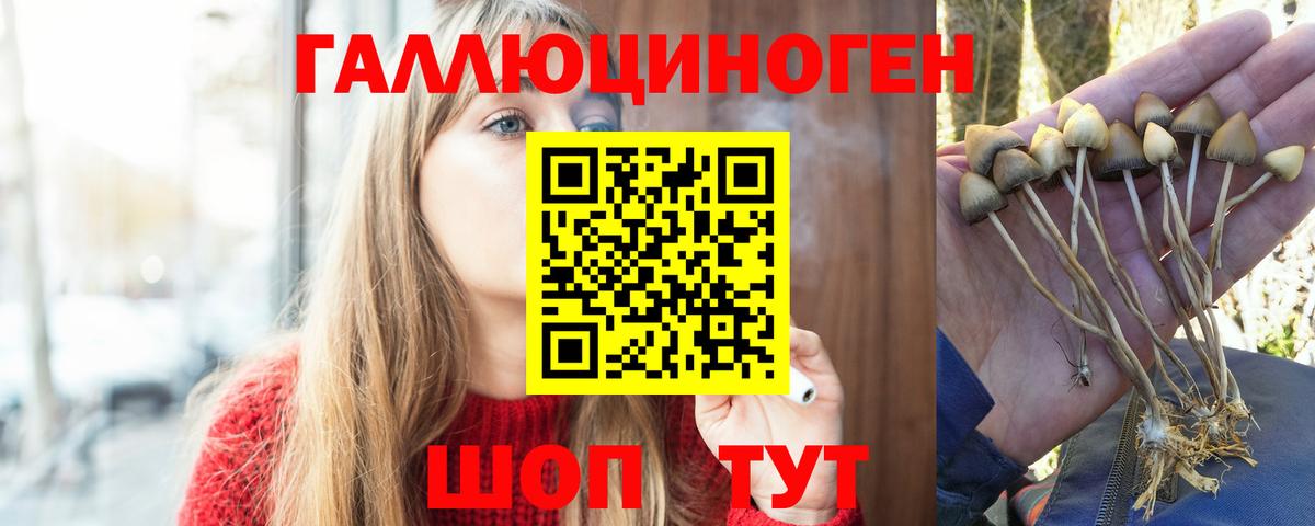 Миасс  Галлюциногенные грибы ЛСД  Галлюциногенные грибы мухоморы  Вход с VPN 